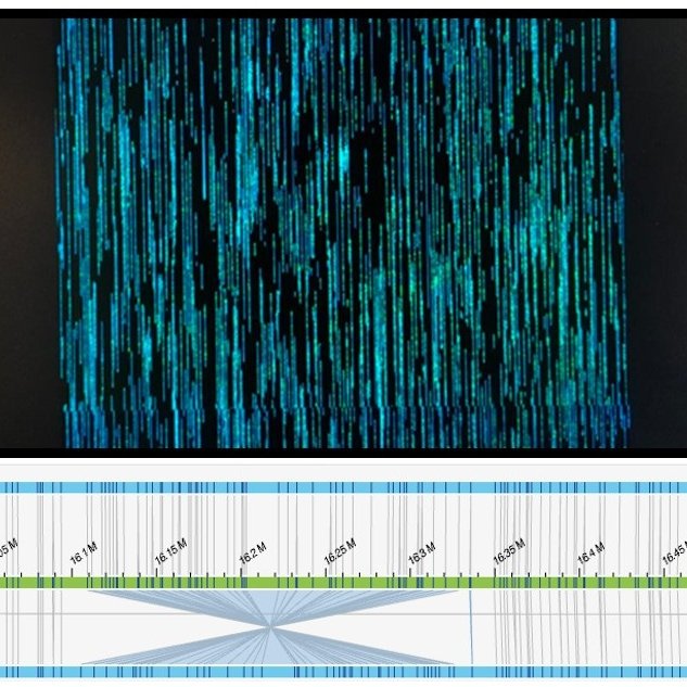 El #ISCIII incorpora la tecnología de Mapeo Óptico del Genoma para mejorar el diagnóstico de enfermedades raras. Refuerzo al Programa de Casos sin Diagnóstico (SpainUDP) de nuestro Instituto de Investigación de Enfermedades Raras. 📰 #NoticiasISCIII ➡️ isciii.es/Noticias/Notic…