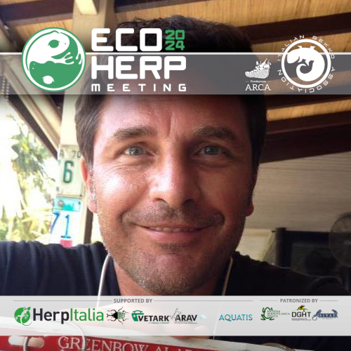Nicolas Defabiani

🇮🇹 Allevamento e riproduzione di Naultinus elegans e grayii per sei generazioni: l’esperienza della Svizzera meridionale
🇬🇧 Keeping and breeding Naultinus elegans and grayii over six generations: the southern Switzerland experience

#geckos #reptiles #ecoherp