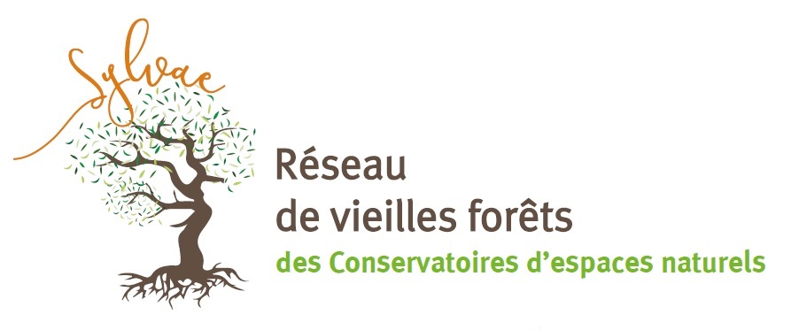 Une belle offre d'emploi pour accompagner le réseau des CEN dans la construction d'une stratégie nationale pour les forêts et le déploiement du programme #Sylvae réseau de vieilles forêts des CEN cen-auvergne.fr/sites/default/…