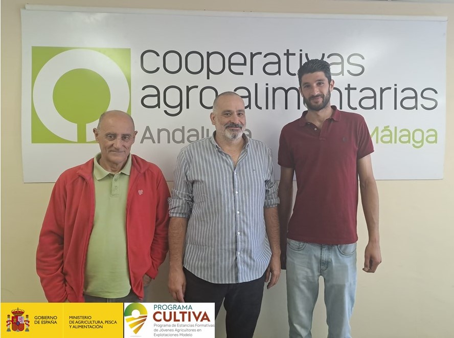 CoopsAgroAND's tweet image. El joven #agricultor Carlos Ferreiro finaliza su estancia gratuita de #ProgramaCULTIVA en Lagos #VélezMalaga con una visita a las instalaciones de #CoopsAgroMalaga junto a su anfitrión, Álvaro Bazán.
➡️En la visita, los ha acompañado el coordinador de la estancia, Juan José Peña