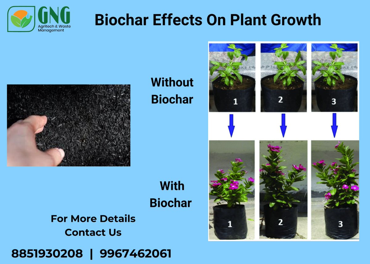 Biochar Effects On Plants Growth.. #biochar #carbon #climatechange #gngagritech #carbonremoval #fertilizer #biochareffects #effectsonplant