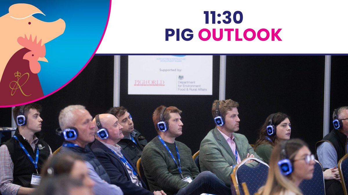 It's nearly time for the Pig Outlook - the headline forum in the Pig Theatre! Hear speakers from across the industry about the challenges and opportunities ahead 🐷 #PigandPoultryFair