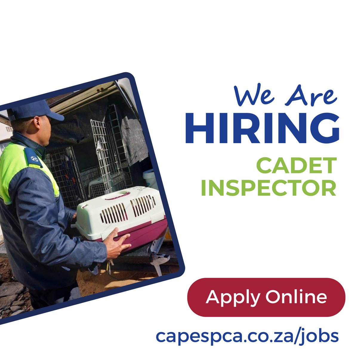 🚨 Join Our Team as a Cadet Inspector at Cape of Good Hope SPCA! 🚨 Follow the LINK IN OUR BIO for the full job description: capespca.co.za/jobs/ #SPCAJobs #CapeSPCAHiring #WeAreHiring #CapeSPCA #MakeADifference #CapeTown #GrassyPark #CadetInspector #AnimalRescue