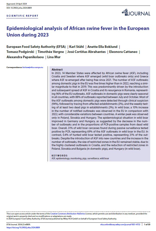 Timothée Vergne tweet media