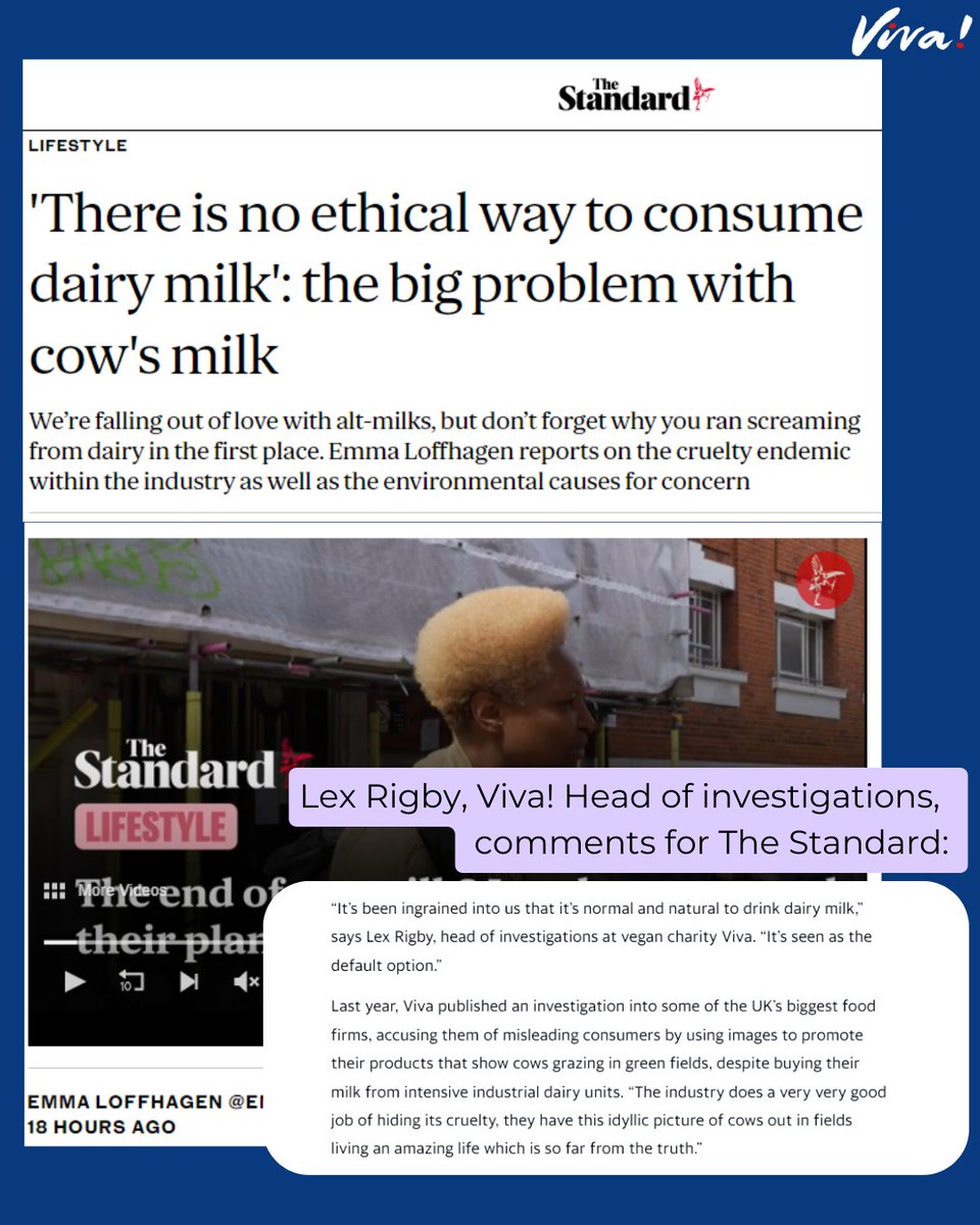 Lex Rigby, Viva! head of investigations comments for The Standard on the reality of #dairyfarming👇

Read the full article here: standard.co.uk/lifestyle/dair…