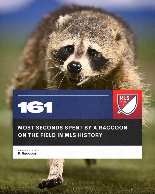 🦝 There was an all time great performance in MLS last night