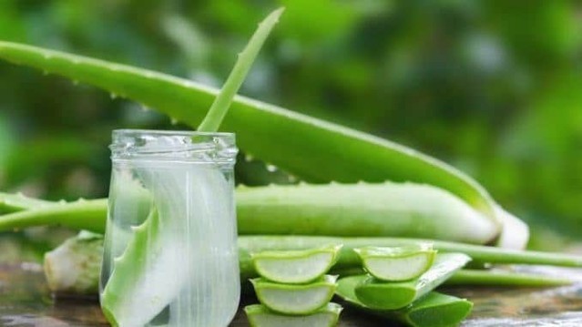 Boost your immune system with nature's one-stop-shop: #AloeVera! ow.ly/tmQS50QqkcI Not only does it boast 75 essential nutrients (including Vitamins A, C & E), but it also has anti-inflammatory benefits. 

A stronger, healthier you! 🌱💪🏼 #ImmunityBooster #AloeVeraBenefits
