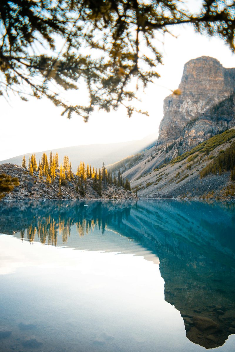 Peyto Lake in Banff National Park in Alberta, Canada