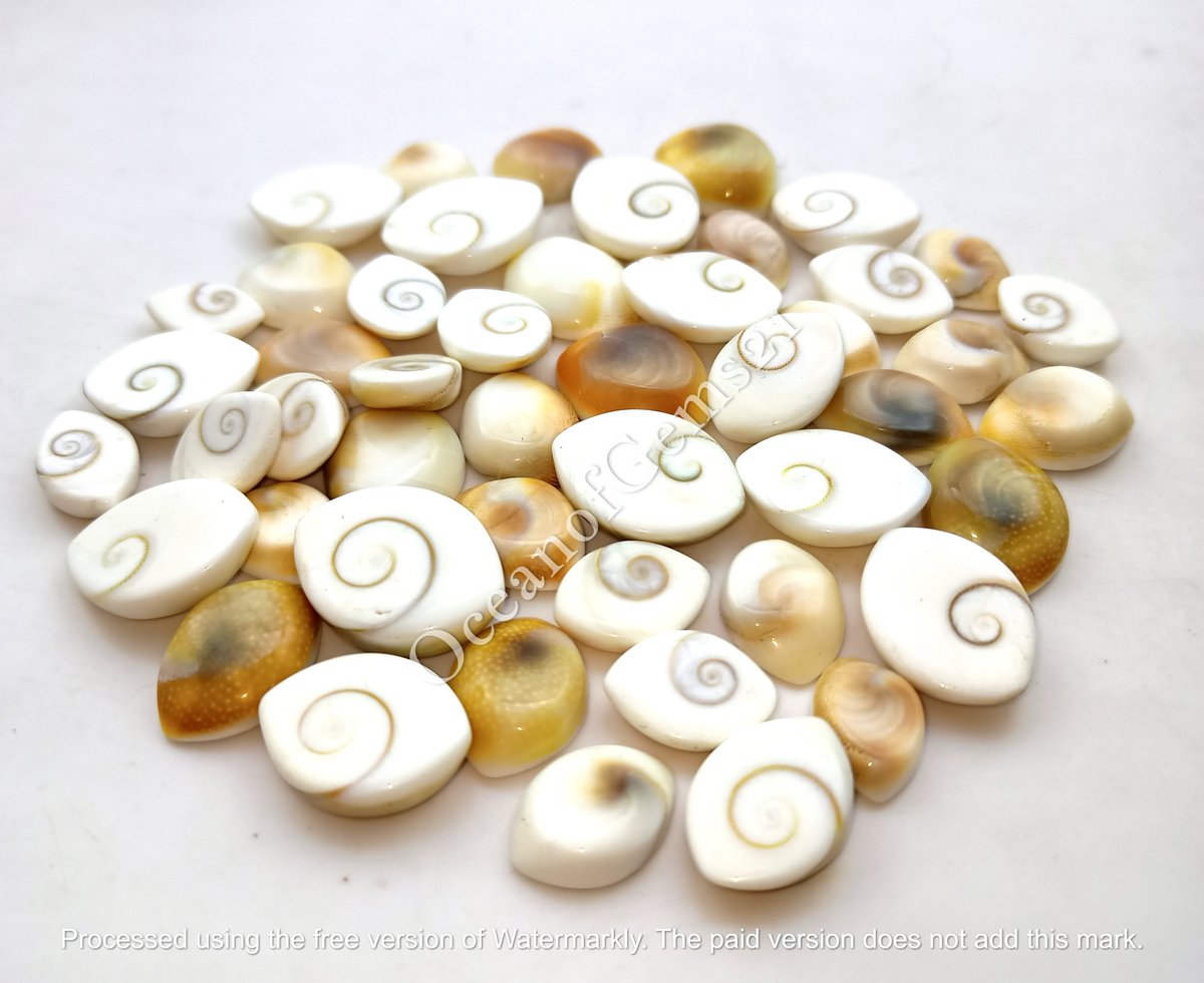 Natural Shiva Eye Shell Gemstone Cabochon 

$9.99 100 Carat
Size 12 to 25mm Approx
Free Drilling Service
Worldwide Shipping$6
Combined Shipping Available

#shivaeyeshell #shivaeye #EyeShell #eyes #shell #shelljewelry #shellearrings #shivaeyegemstone #shivaeyeshellcabochon