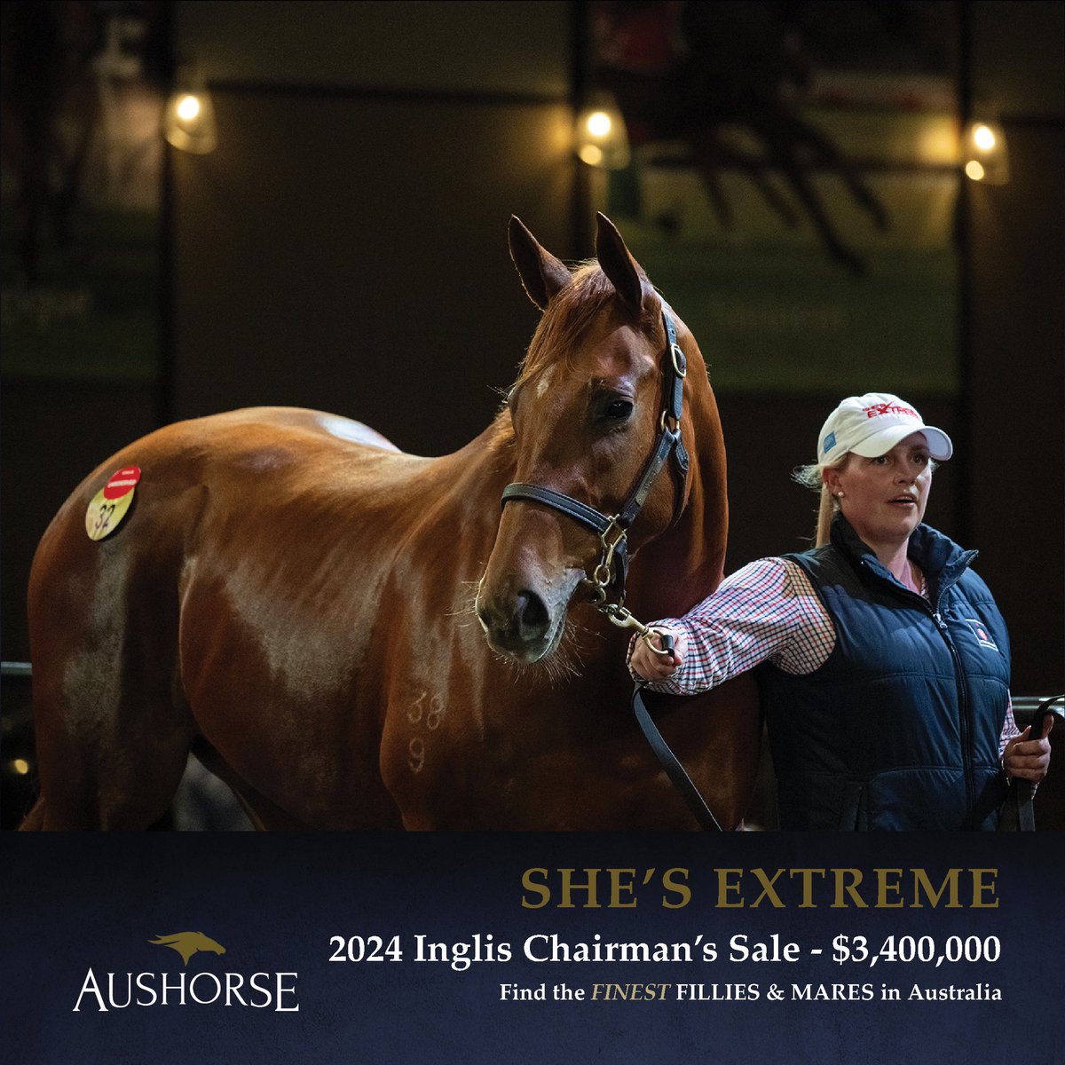 An extreme result. Sold by Willow Park Stud for $275K to Anthony Cummings Thoroughbreds at the 2021 Inglis Easter yearling sale, She’s Extreme is one of only 11 fillies to win a Group One as a 2YO and 3YO over the past 20 years. A winner of over $1.6 million in prizemoney, she
