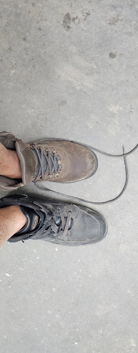 john reilly tweet media