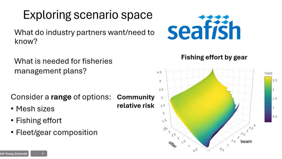 Great job by our very own @JEV_Rimmer at #SMMRConf24 presenting the value of multi-species #modelling for better informing #fisheries management decisions 🐟