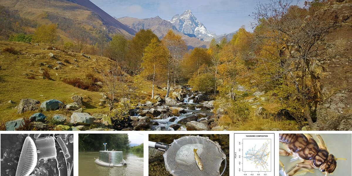 Il 21 maggio ore 21:00 su Rai Scuola (canale 57) interessantissima puntata di "Newton" con il Prof. Stefano Fenoglio e diversi ricercatori del DBIOS. Si parlerà  di fiumi e cambiamenti climatici, delle attività del Centro per lo Studio dei Fiumi Alpini e del progetto Life Minnow