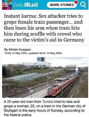 Almanya’da Tunuslu bir mülteci, tramvayda bir kadını taciz etti. (Daily Mail)