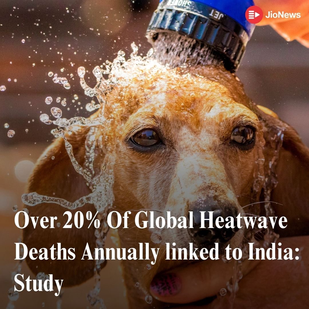 A study by Monash University found that over 1.53 lakh deaths annually are linked to heatwaves, with more than 20% occurring in India. China and Russia follow, with 14% and 8% of these deaths, respectively. The research, covering 30 years since 1990, revealed that heatwave-linked