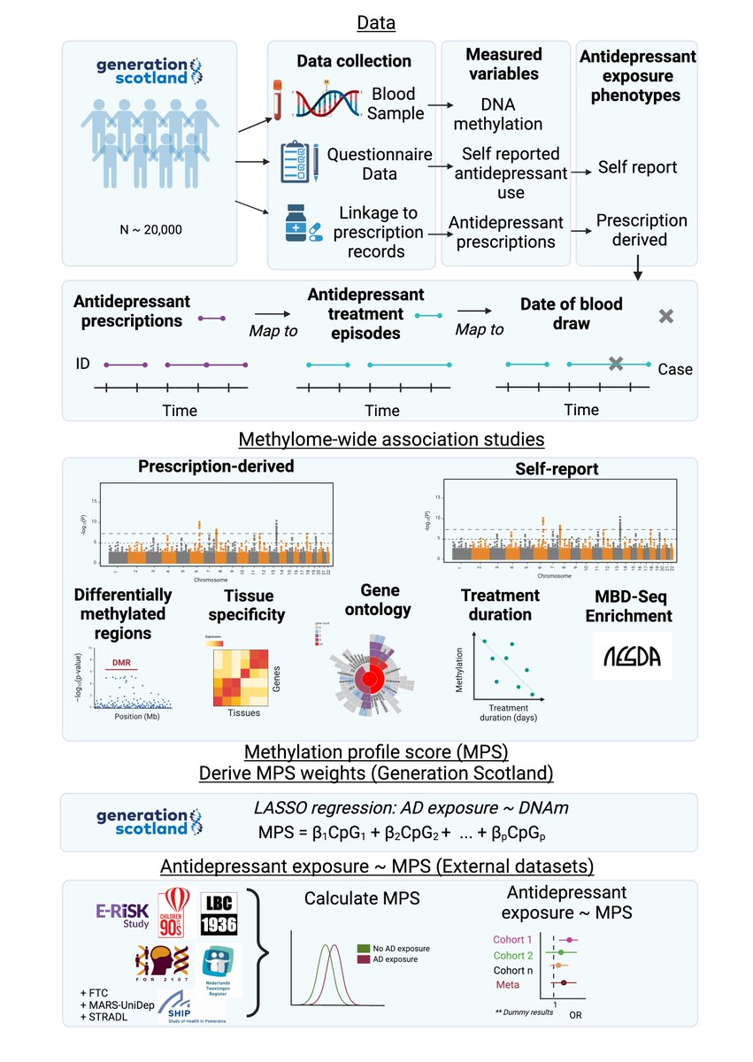 My latest PhD Project is now up on @medrxivpreprint: medrxiv.org/content/10.110… ! Here, we looked at the association between antidepressant exposure and DNA methylation🧬in 16,536 individuals in @genscot. A 🧵 of our main findings: