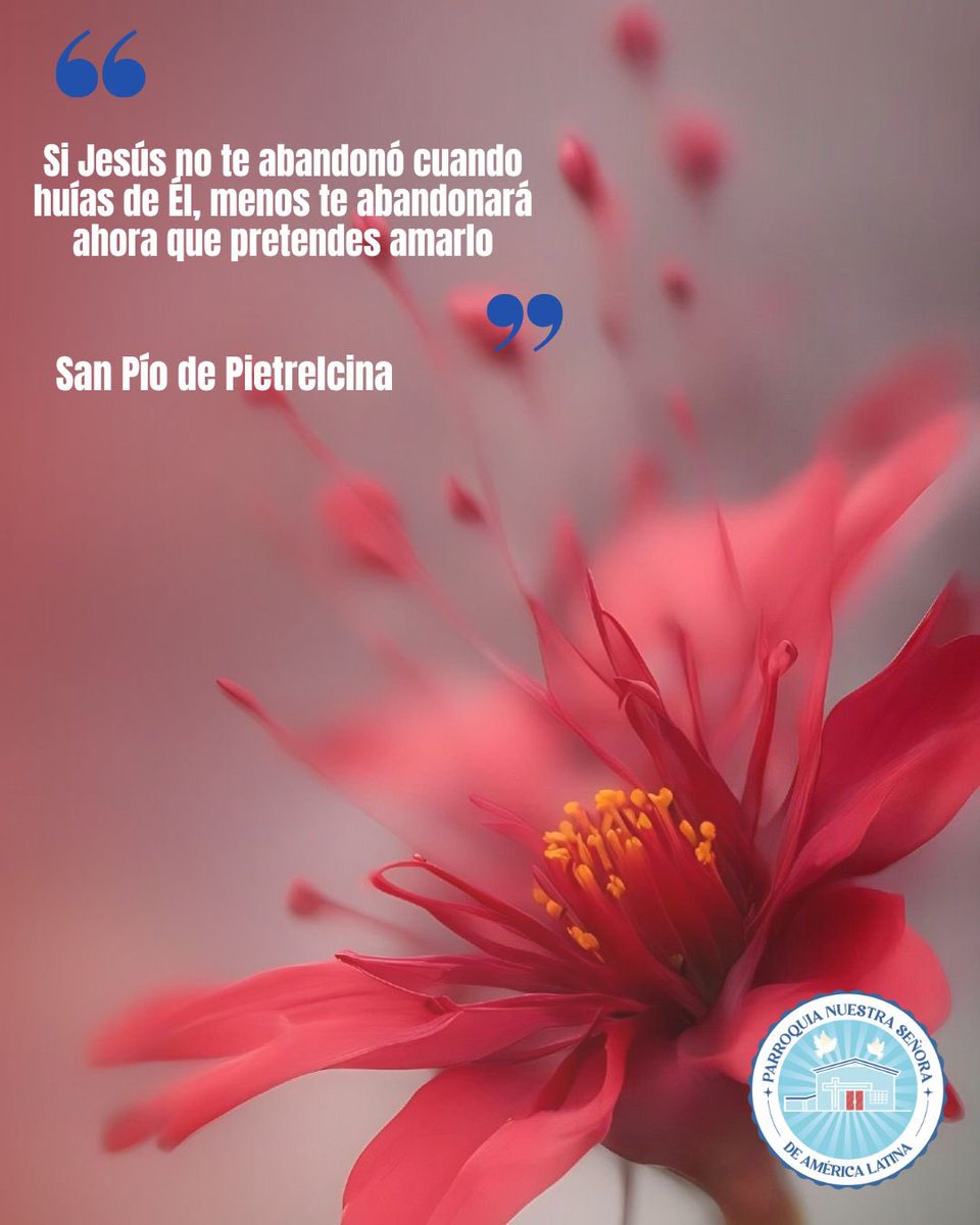 ¡Buenos días hermanos! Gracias por tu amor infinito y tu bondad con nosotros todos los días.

#FelizMiércoles #Palabra #SomosPAL  #YoSoyIglesia  #LaOración #PNSAméricaLatina #Pascua2024