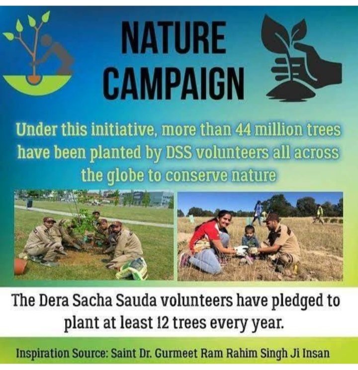 #NatureCampaign की शुरुआत #SaintGurmeetRamRahimJi ने की थी, जिसमें वे लोगों को अधिक से अधिक पेड़ लगाने के लिए प्रोत्साहित करते हैं ताकि आने वाली पीढ़ी को स्वस्थ वातावरण प्रदान किया जा सके। इस अभियान के तहत DSS के अनुयाई लोगों को पौधारोपण के लिए पौधे भी उपलब्ध कराते हैं। 
#GoGreen