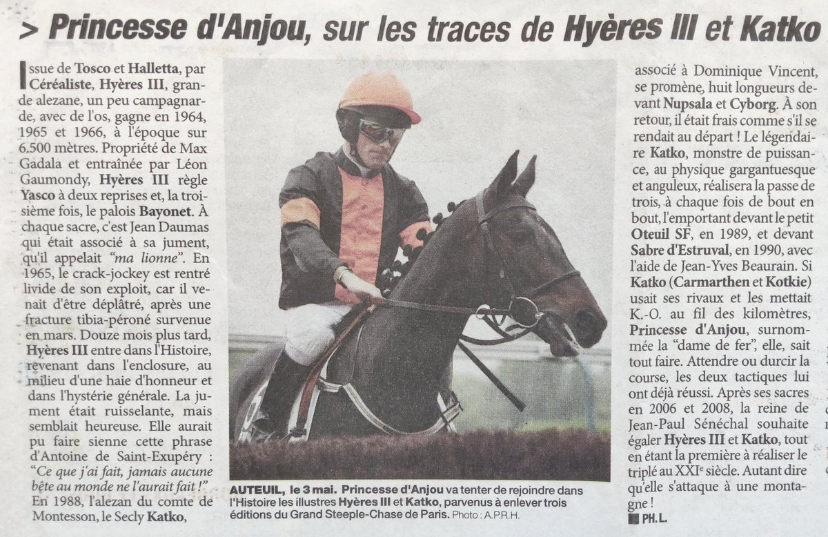 PRINCESSE D'ANJOU 🟧⬛ F.M. Cottin/ P. Carberry 🥇 Grand Steeple-Chase de Paris 2006 🥇 Grand Steeple-Chase de Paris 2008 (Article de 2009)