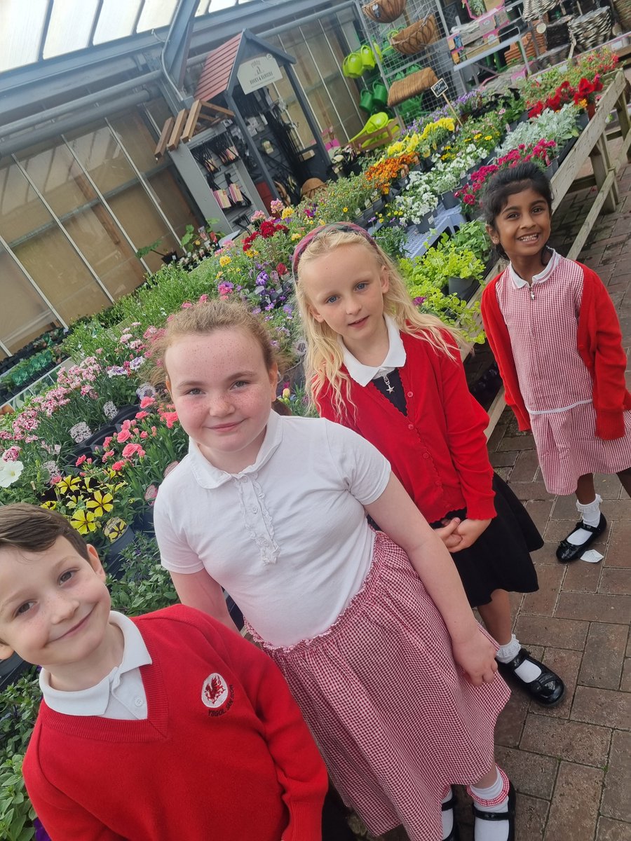 A lovely morning spent in Snowdonia Garden Centre choosing our school plants.