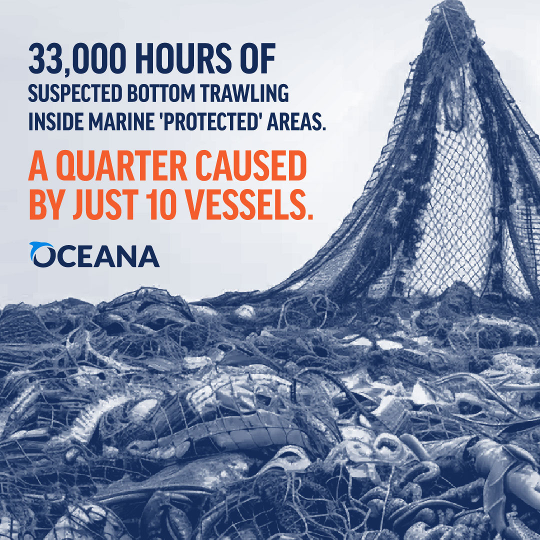 ⚠️ #DYK UK Govt allows bottom trawlers to bulldoze our marine protected areas? Did you know they let 33,000 hours of suspected bottom trawling wreck them last year alone? It's time to save our seas.