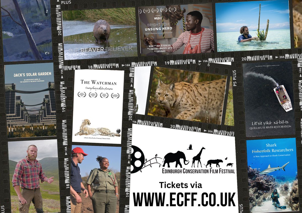 I wrote a blog post for <a href="/SEFARIscot/">SEFARI Gateway</a> about this year's <a href="/EdiConsFilmFest/">Edinburgh Conservation Film Festival</a>. Have a read and if you like what you see come along #tonight to watch the films this evening as we are having a small screening at the <a href="/finisterre/">Finisterre</a> store in #Edinburgh
sefari.scot/blog/2024/05/1…