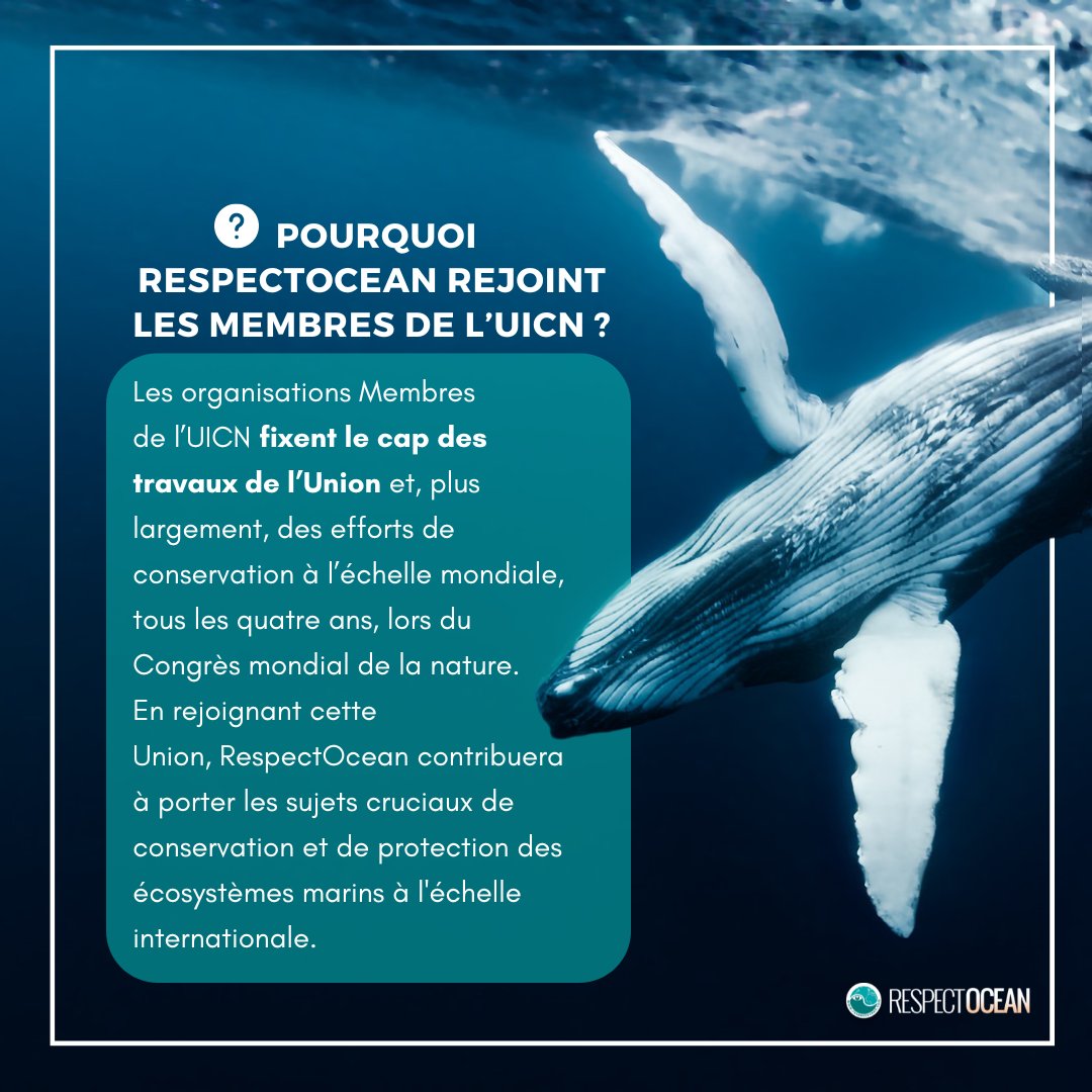 🌊🌎 [🇦‌🇳‌🇳‌🇴‌🇳‌🇨‌🇪‌] RespectOcean rejoint les membres de l’IUCN.

Nous sommes ravis de vous annoncer que RespectOcean rejoint officiellement les rangs de l'Union Internationale pour la Conservation de la Nature en tant que membre.

▶urlr.me/zpWPg