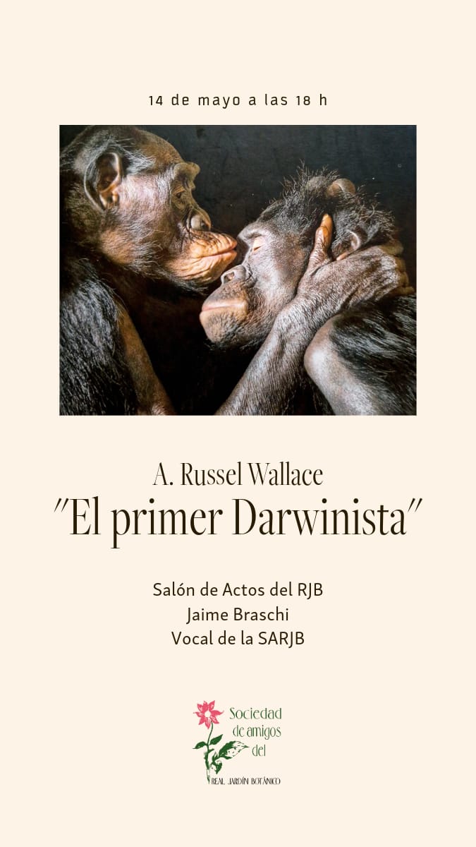 Estupenda charla de Jaime Braschi sobre la vida de Russel Wallace, el primer Darwinista. Un trabajador incansable, pionero en las teorías de la evolución de las especies, pero escocés 😜 @RJBOTANICO
