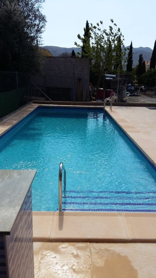 📊 ¿Qué prefieres en verano?

🔄 PLAYA
❤️ PISCINA