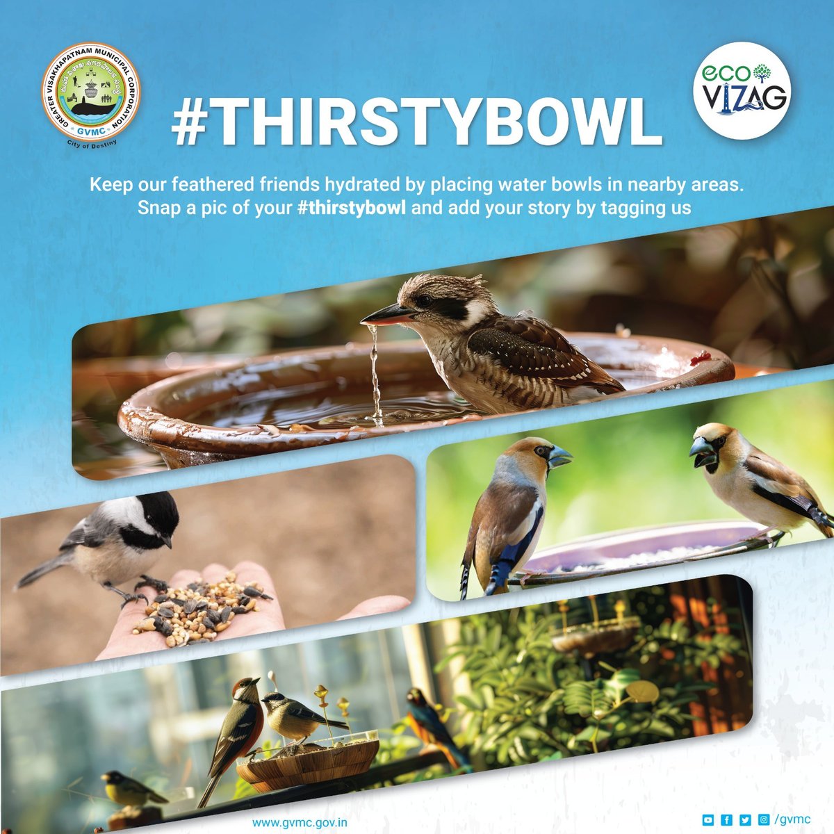 As temperatures soar, our feathered friends are facing a crisis. 🕊️💔 birds falling from the sky due to dehydration, it's up to us to act. Let's place water bowls in our surroundings and ensure no bird suffers the fate of dying of thirst. Snap a pic or video of your #Thirsty bowl
