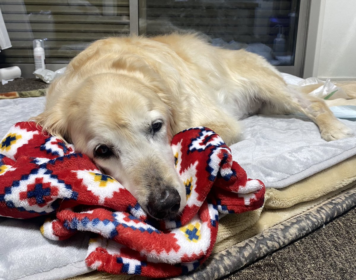 大好き❤️❤️❤️