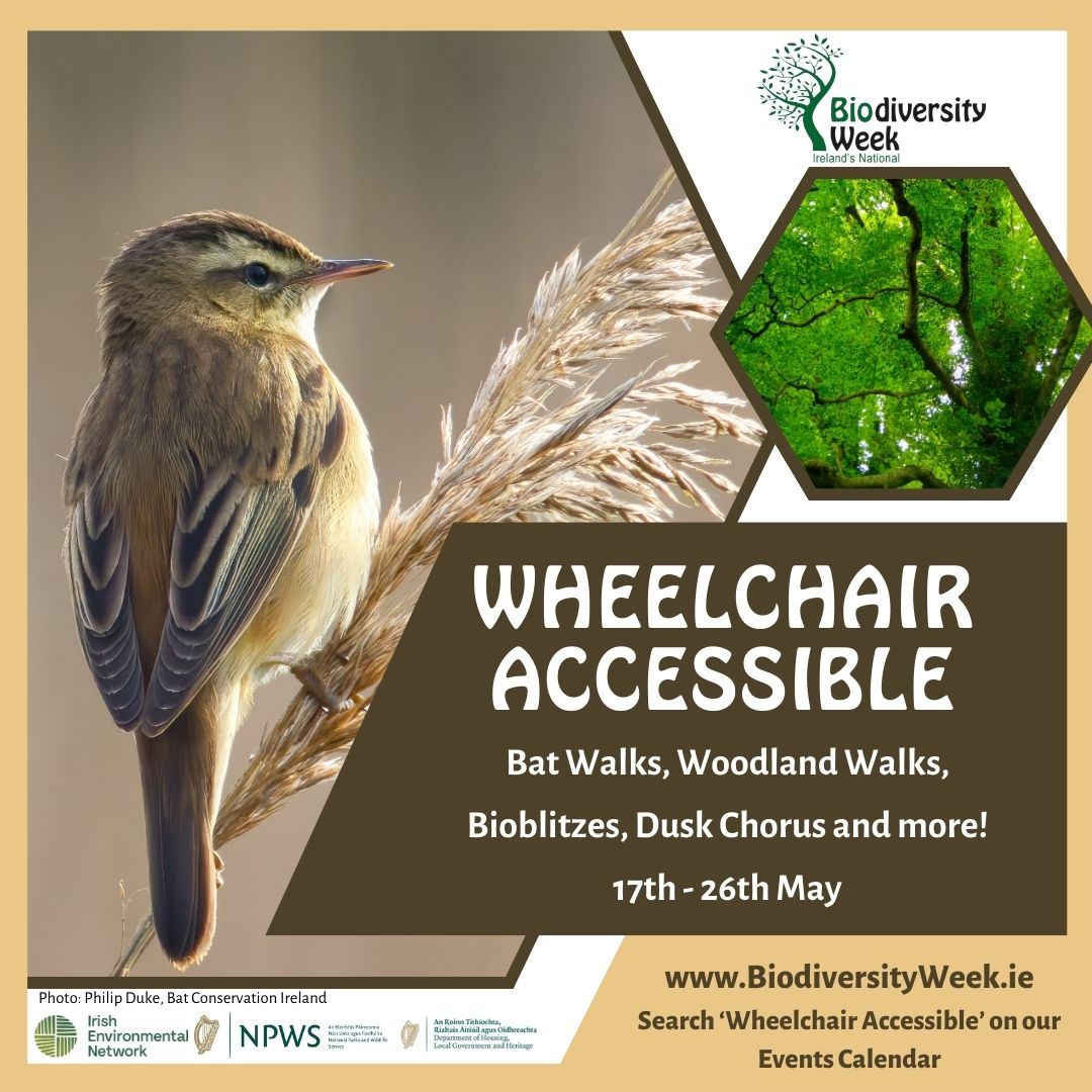 Check out the accessible events on this year for #BiodiversityWeek2024. Discover bats and woodlands, explore the seashore, take part in bioblitzes and more! Choose 'wheelchair accessible' from our category dropdown menu for details. biodiversityweek.ie/events-calenda…