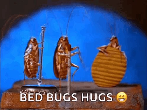 What are some of the most interesting ways you've seen people make a living?  I'll start: dog bed bug detection service.