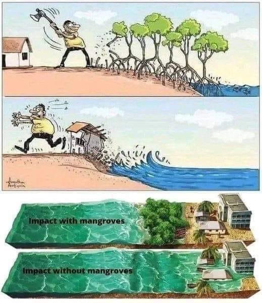 detremura's tweet image. Trago verdades