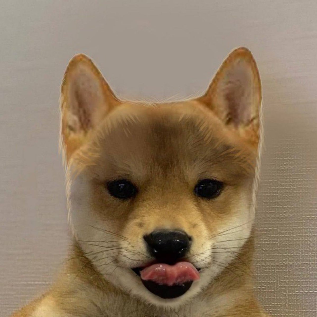 <a href="/gotbit_io/">Gotbit Hedge Fund</a> @LukasKing08 hi