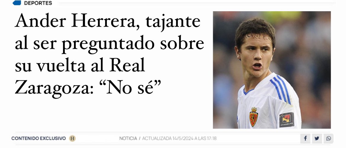 Proyecto Leones tweet media