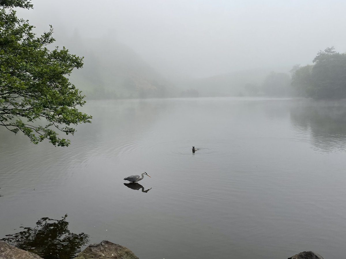 This morning’s #dailymile in the East:

Haar and Smirr!
