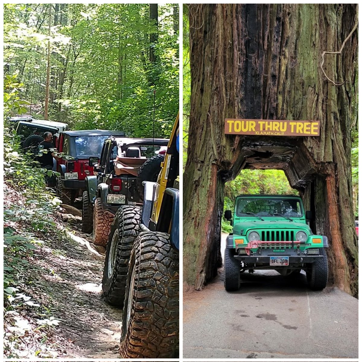 Good morning Mafia 👋😁 Whether we roll by them, or we roll thru them, we #LoveATreeDay any chance we get. They make everything cooler 😎, be safe out there and have a great day ✌️
