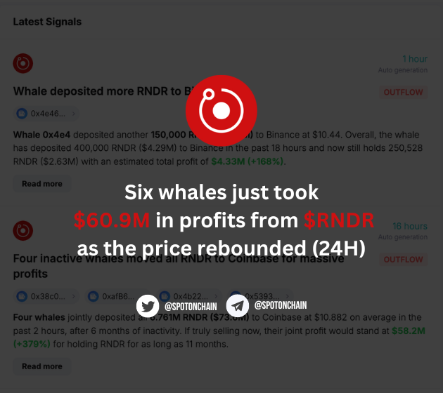 Render Whales Trading Activity RNDR Price