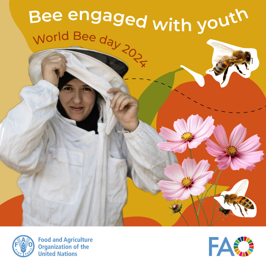 🐝 Get ready for #WorldBeeDay! This year's theme is 'Bee engaged with Youth' to highlight the importance of involving young people in beekeeping and pollinator conservation efforts, recognizing them as the future stewards of our environment. 👉 bit.ly/4aFZ4Zx