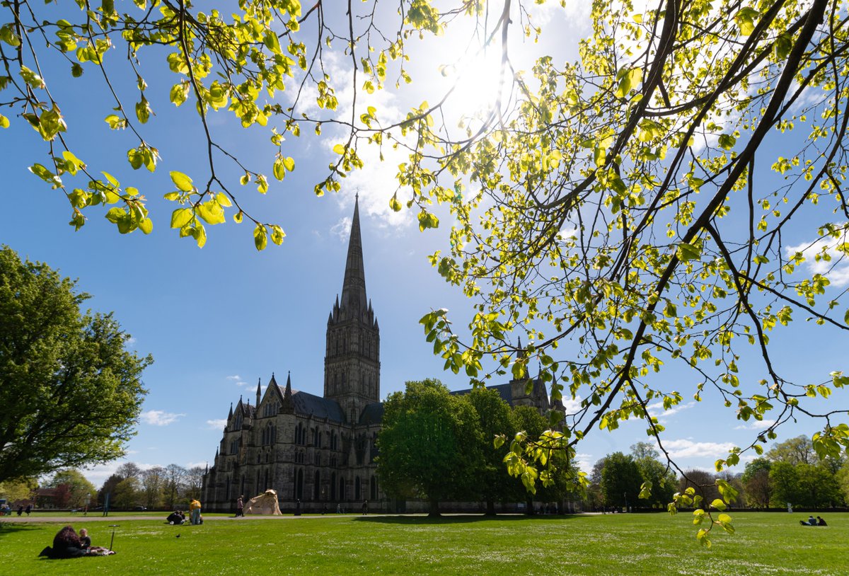 Happy International Day of Light! 🌠 Here at the Cathedral, we are surrounded by light, from the daylight that pours in through our stained-glass windows to the Spring sunlight shining in our beautiful grounds. 📷: Martin Cook
