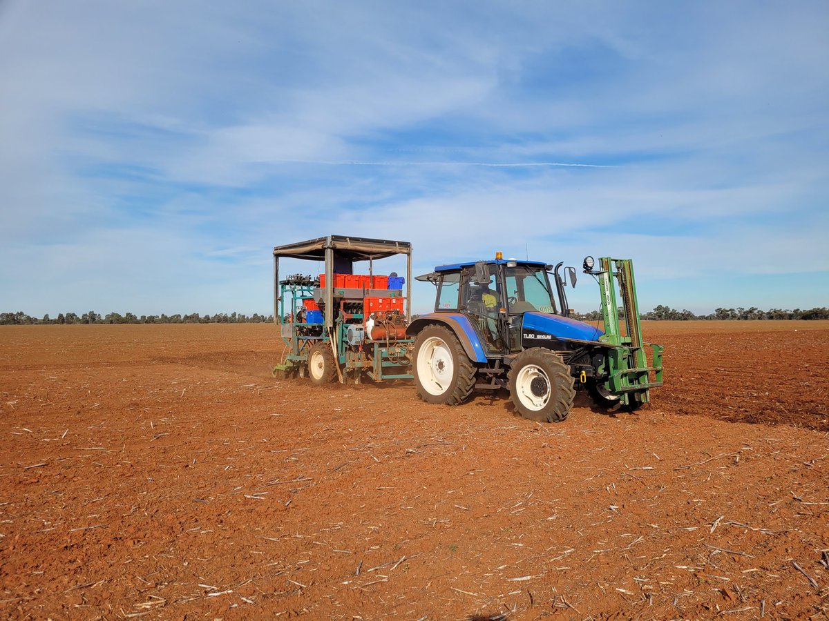 Rob Presser (@researchagro72) on Twitter photo Spraying and sowing <a href="/InterGrain1/">InterGrain</a> trials at Barellan today Spraying and sowing <a href="/InterGrain1/">InterGrain</a> trials at Barellan today