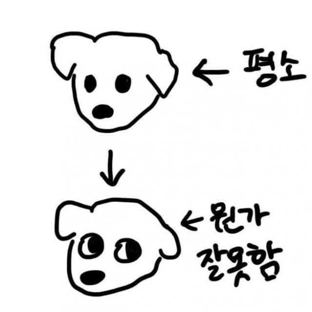 김두부 tweet media