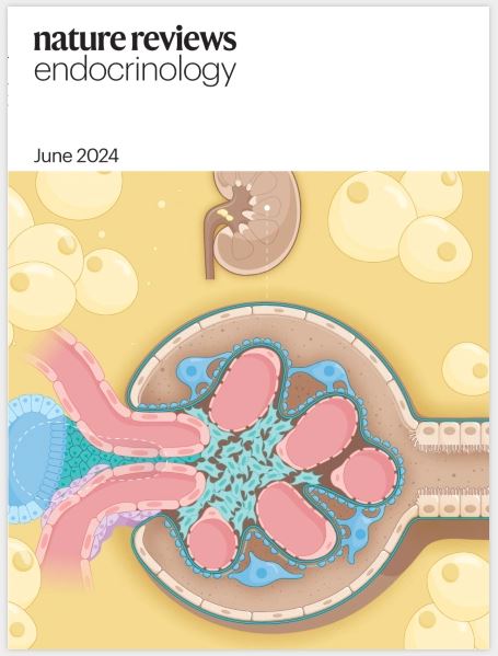 The @NatureRevEndo June issue is now online! Check out articles on #obesity & the #kidney, #thyroid & #COVID19, cryo-EM, and protein tyrosine phosphatase 1B nature.com/nrendo/
