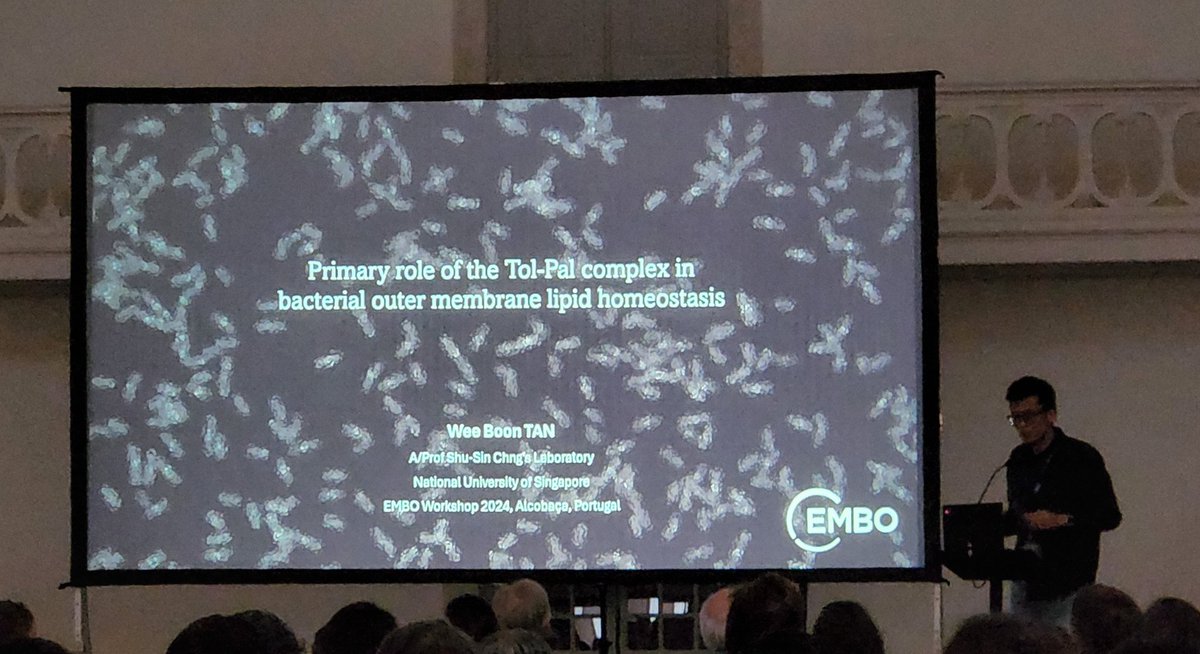 It is so much more satisfying (and relaxing 😆) to see your student/postdoc give a talk sharing his awesome work! Great job @WeeBoon5! #EMBO_ZRing #ProudPI