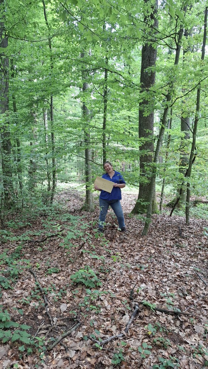 Dr. Hannah James @toothdetective.bsky.social tweet media