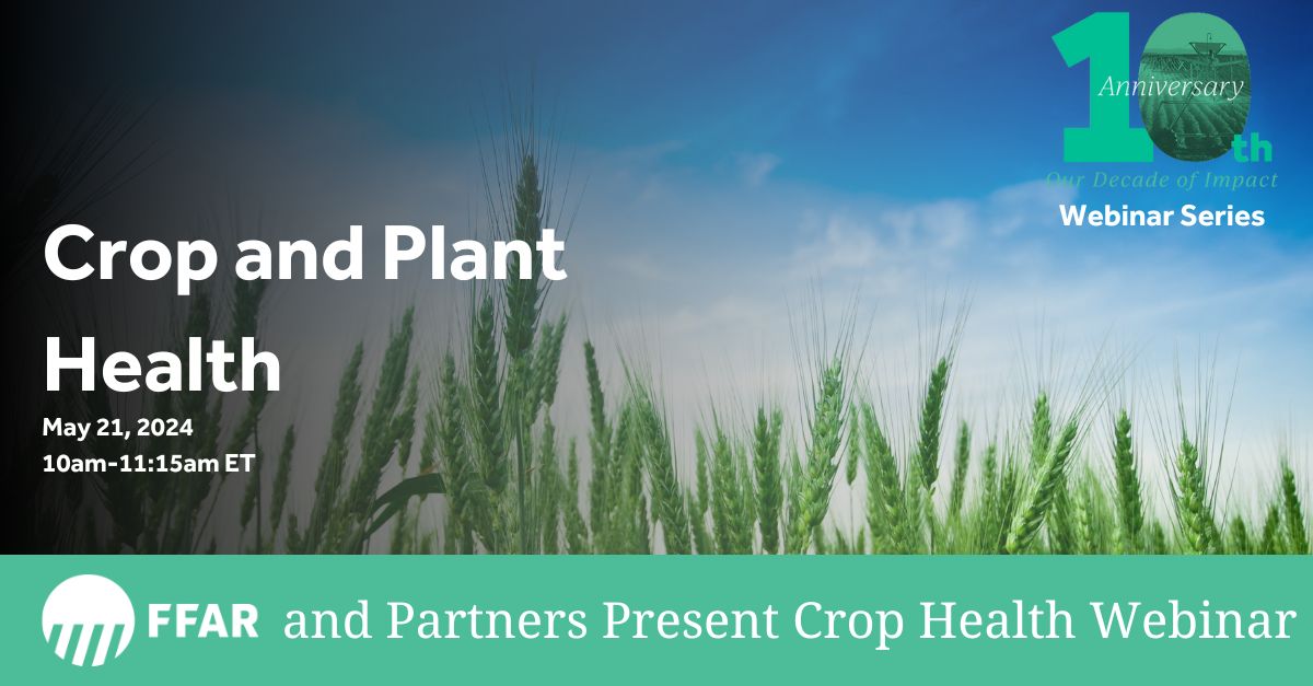 NEXT TUESDAY! (5/21)

Are you on top of the most up-to-date research on crop and plant health?
foundationfar.org/events/crop-he…