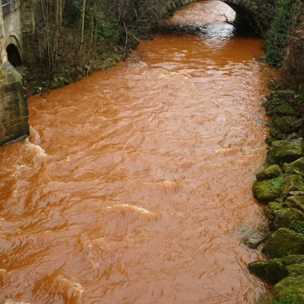 I feel so angry about the sewage crisis now drinking water crisis surely there is something we can do to make this dumping stopped before we all become ill, this government has so much to answer for!