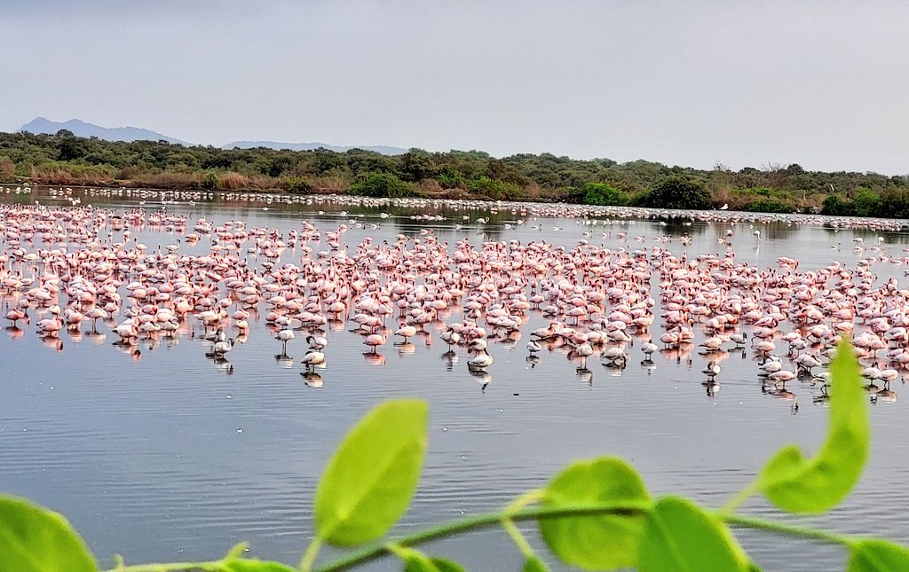 Garbage Vs Planet Humanlife Vs Wildlife What footprint are you leaving behind for the future? must think 👣 and respect the waterbodies. #ClimateAction