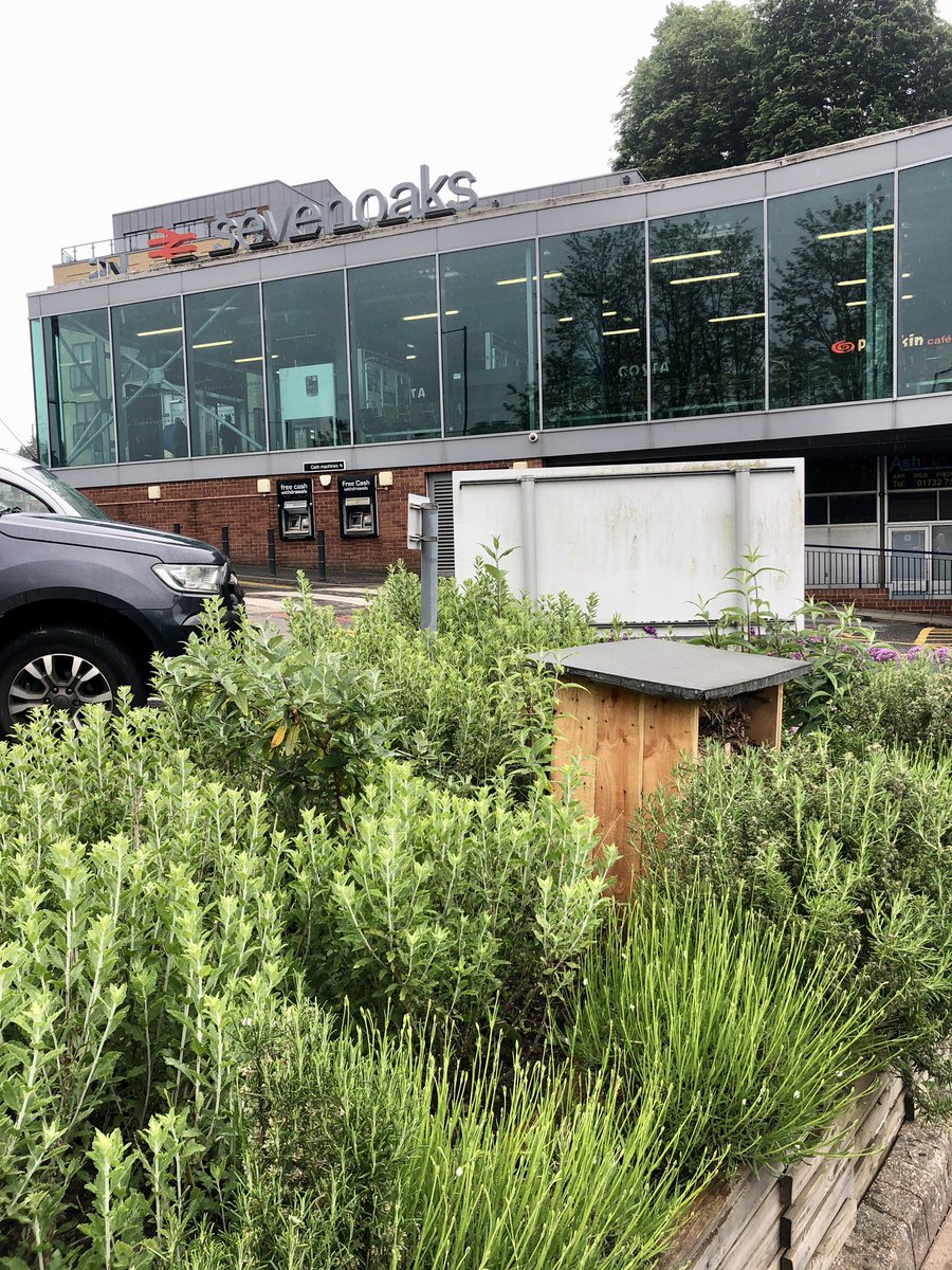 Darent Valley CRP (@darentvalleycrp) on Twitter photo Our fabulous muralist Ola Intu is prepped and ready to go at Sevenoaks station. We had so many positive comments abt her work at Bat & Ball - looking forward to this one! Doesn’t the garden look great too? #stationmurals #sevenoakstowncouncil <a href="/SDC_newsdesk/">Sevenoaks District Council</a> <a href="/TLRailUK/">Thameslink</a> <a href="/Se_Railway/">Southeastern</a> Our fabulous muralist Ola Intu is prepped and ready to go at Sevenoaks station. We had so many positive comments abt her work at Bat & Ball - looking forward to this one! Doesn’t the garden look great too? #stationmurals #sevenoakstowncouncil <a href="/SDC_newsdesk/">Sevenoaks District Council</a> <a href="/TLRailUK/">Thameslink</a> <a href="/Se_Railway/">Southeastern</a>